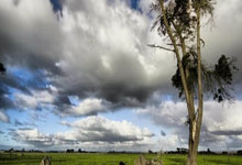 跳水选手勇夺冠军荣归故里