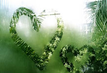 南非选手实力抢眼，成功晋级八强