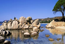 传球技巧展示引发球迷欢呼迎杨