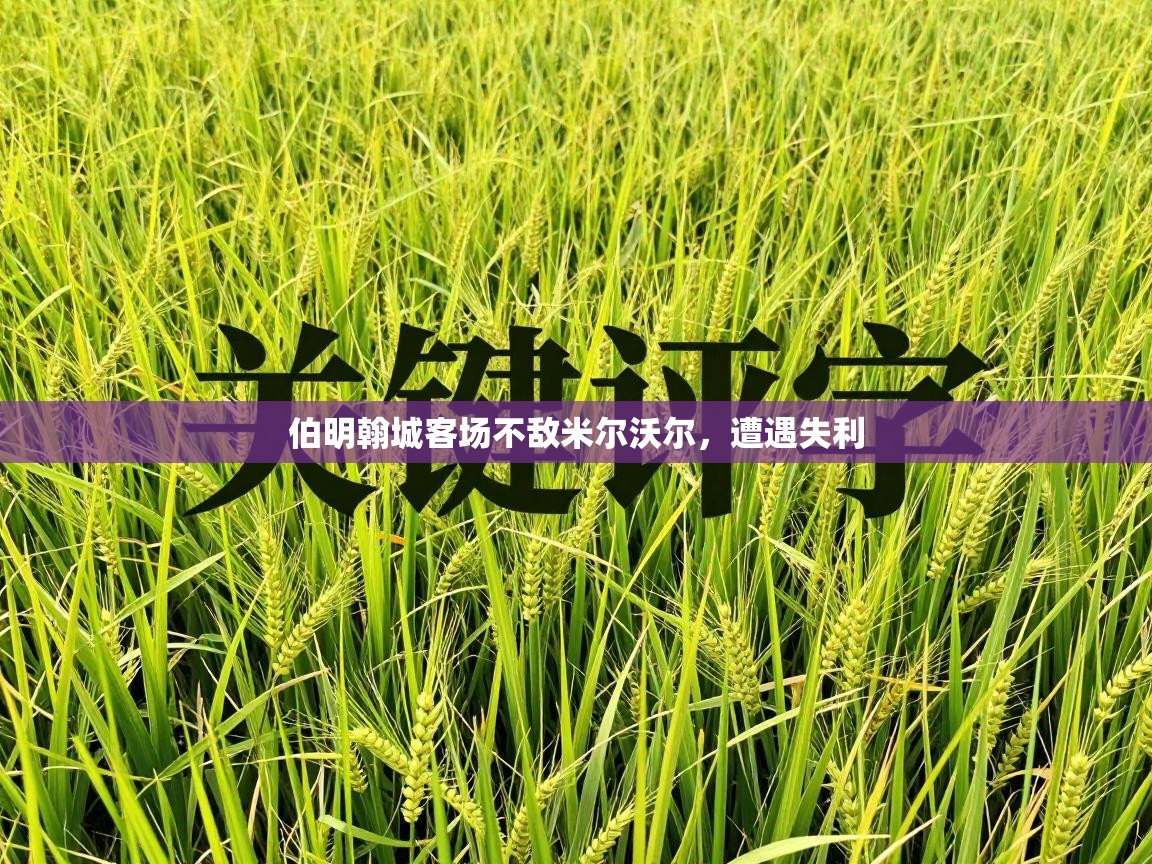 伯明翰城客场不敌米尔沃尔，遭遇失利